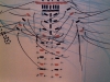 Bienial#29x-web